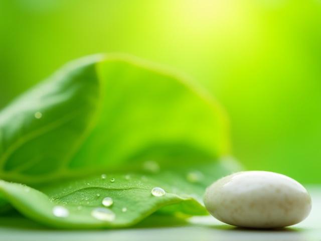 Fresh green leaf with water droplets, symbolising eco-friendly cleaning